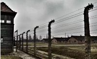 Auschwitz1